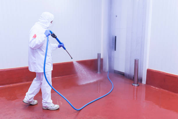 Best Driveway Pressure Washing  in Port Barrington, IL